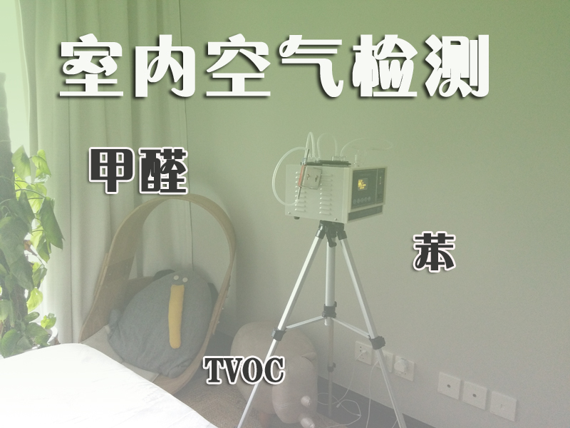 甲醛的午夜WWW视频